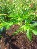 20140612_153958.jpg