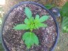 20140612_165338.jpg
