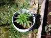 20140616_154322.jpg