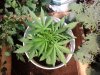 20140616_154234.jpg