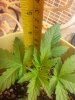 20140615_223545.jpg 20140615_223545.jpg