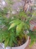 20140615_224350.jpg 20140615_224350.jpg