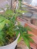 20140615_224354.jpg 20140615_224354.jpg