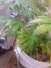 20140615_224406.jpg 20140615_224406.jpg