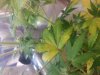 20140615_224438.jpg 20140615_224438.jpg