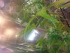 20140615_224529.jpg 20140615_224529.jpg