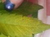 20140615_224817.jpg 20140615_224817.jpg