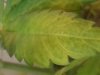 20140615_224928.jpg 20140615_224928.jpg