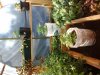 20140616_182741.jpg