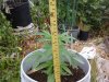 20140611_170229.jpg