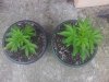 20140616_153212.jpg