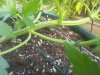 20140618_184609.jpg
