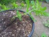 20140616_165058.jpg