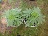 20140619_104813.jpg