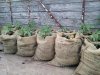 20140619_205235.jpg
