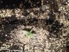 ImageUploadedByTapatalk1403551956.116700.jpg ImageUploadedByTapatalk1403551956.116700.jpg