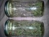 bc jars (2).jpg