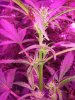 20140627_022707.jpg