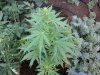 20140627_183938.jpg