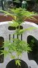 WP_20140628_009.jpg