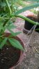 WP_20140628_018.jpg