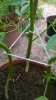WP_20140628_022.jpg