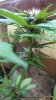 WP_20140628_025.jpg