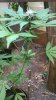 WP_20140628_023.jpg