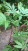 WP_20140628_027.jpg