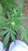 WP_20140628_034.jpg