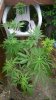 WP_20140628_037.jpg