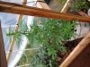 20140628_161958.jpg