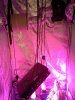 ventsetup (2).jpg