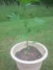 20140629_164252.jpg