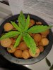20140710_113037.jpg