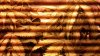 20140710_163528.jpg