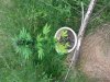 20140711_150110.jpg