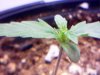 20110209023234.jpg