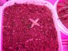 100_4571.jpg