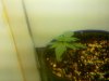 20110214133217.jpg