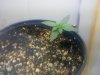 20110214133259.jpg