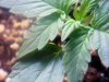 20110214133445.jpg