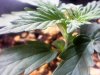 20110214133549.jpg