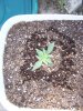 100_4589.jpg