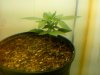 20110205113241.jpg 20110205113241.jpg