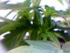 20110205113455.jpg
