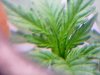 20110205113507.jpg 20110205113507.jpg