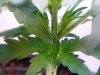 20110205113551.jpg