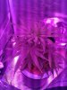 Day 23-2.jpg