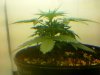 20110207133557.jpg
